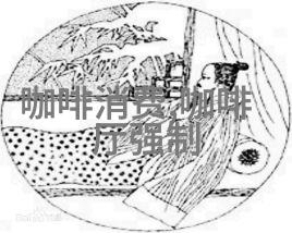 尼日利亚和喀麦隆可可产量表现惊人科特迪瓦和加纳继续低迷拖累全球供应短缺