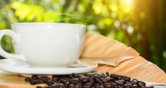印格咖啡 - 咖啡豆的种类