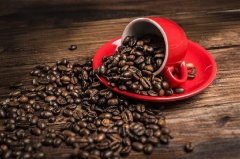 咖啡达人阿拉比卡咖啡较有益健康