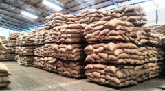越南咖啡库存充足及产量恢复现货价格有望回调
